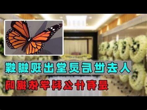 親人過世 蛾
